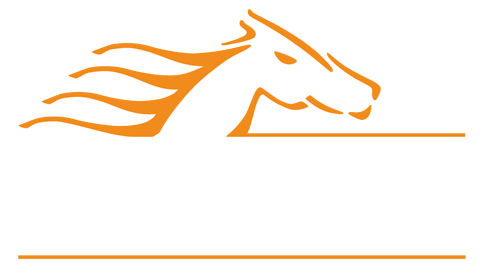 Articolo V Horse Academy