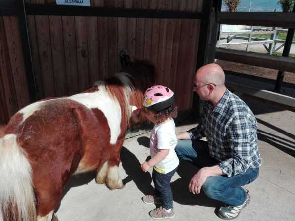 Mano accarezza cavallo nero