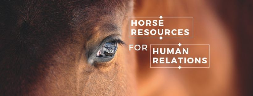 Horse resources for human relations