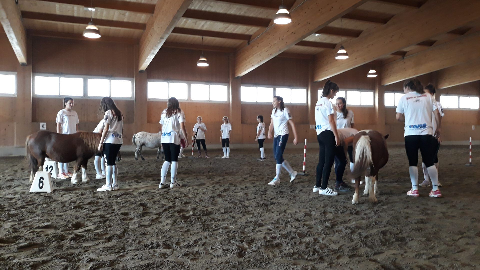 Squadra sportiva con dei cavalli