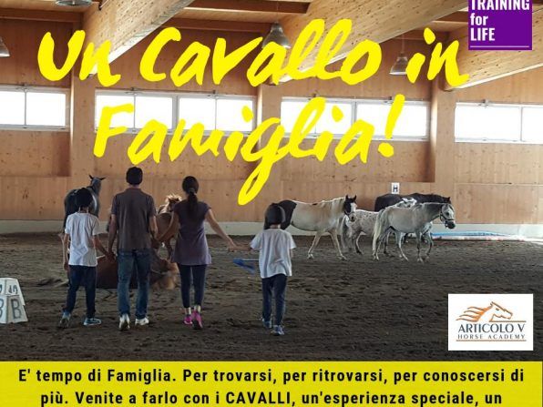 Poster di Training for LIFE