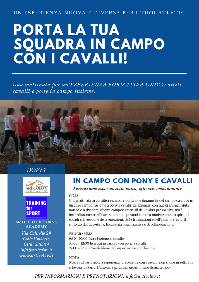 Poster di Training for SPORT
